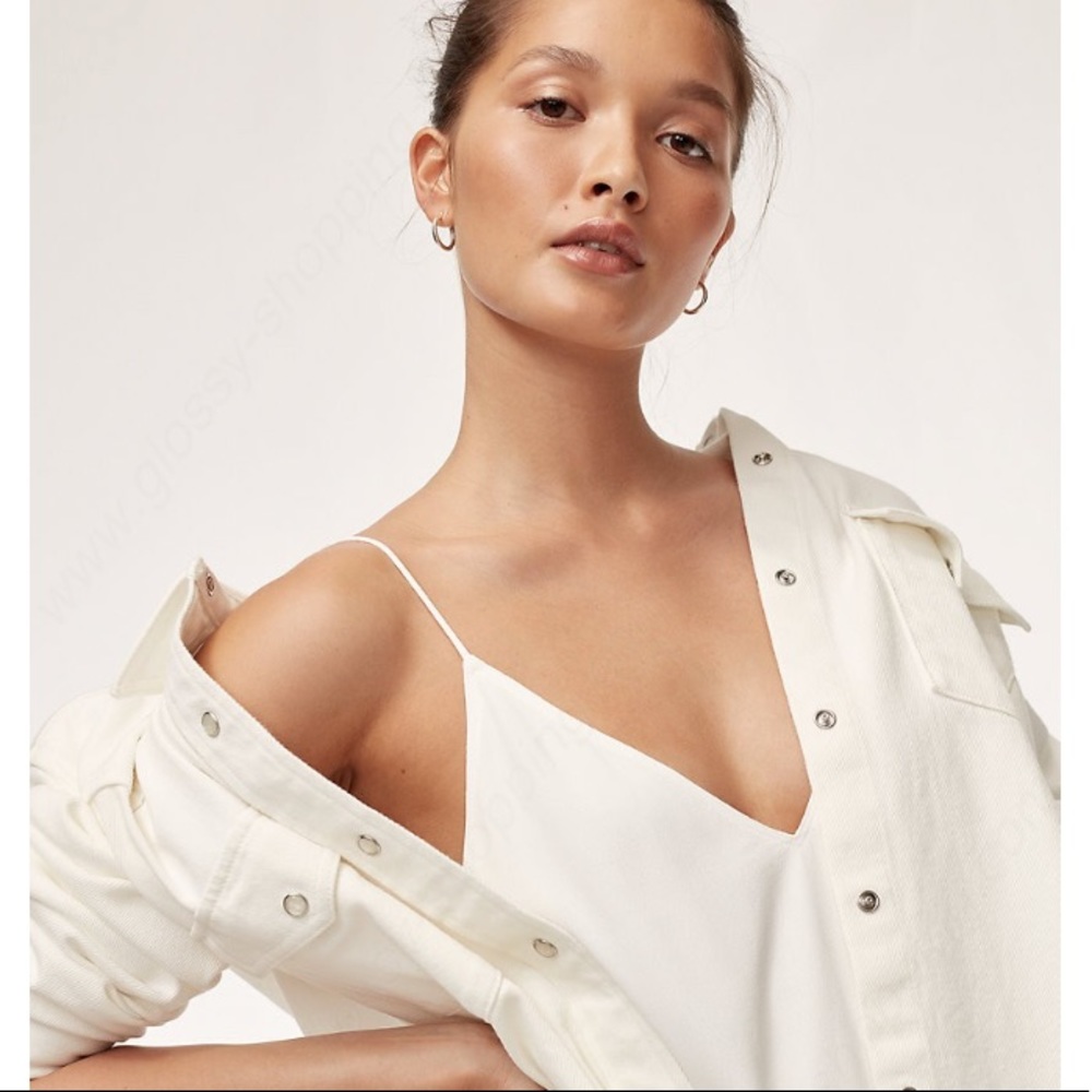 Aritzia Wilfred Vivienne Slip dress